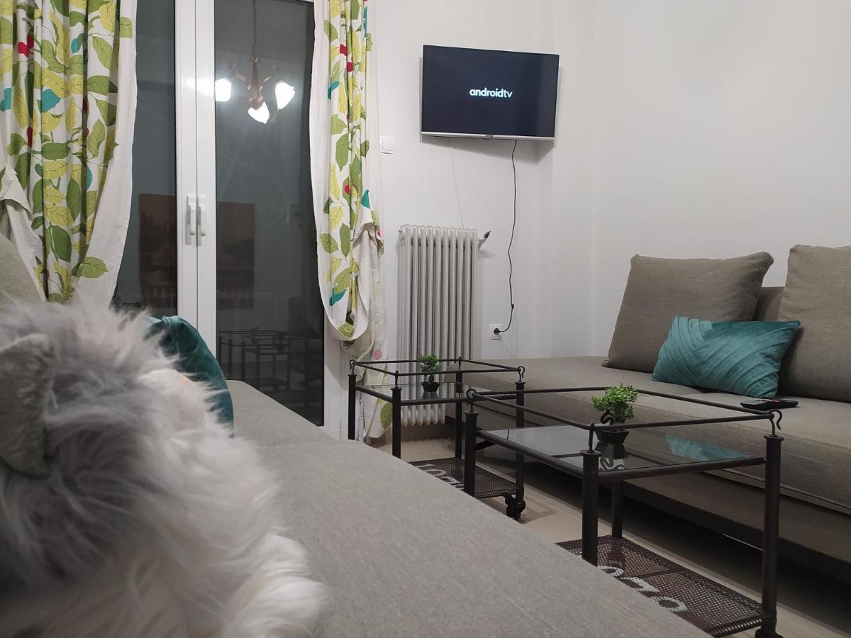 Helen'S Downtown Apartment อิโออันนินา ภายนอก รูปภาพ