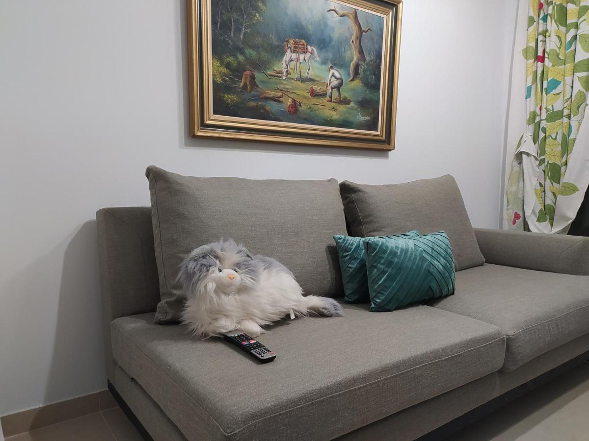 Helen'S Downtown Apartment อิโออันนินา ภายนอก รูปภาพ